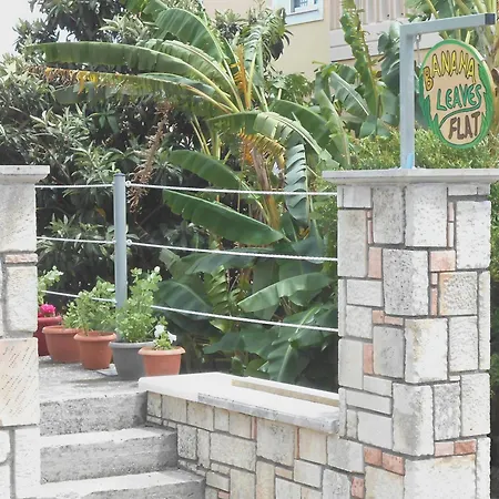 Apartment Banana Leaves Flat