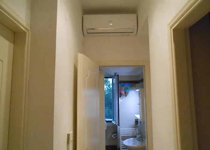 Banana Leaves Flat *