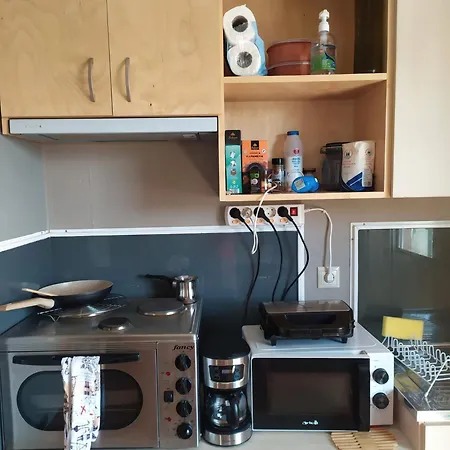 Banana Leaves Flat *