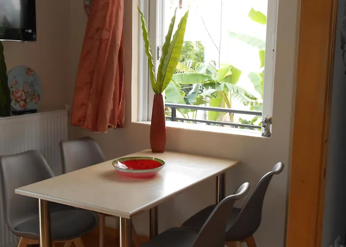 Banana Leaves Flat 하니아