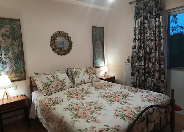 아파트 Banana Leaves Flat 하니아