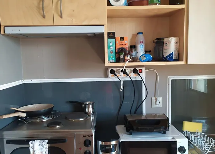 Banana Leaves Flat *